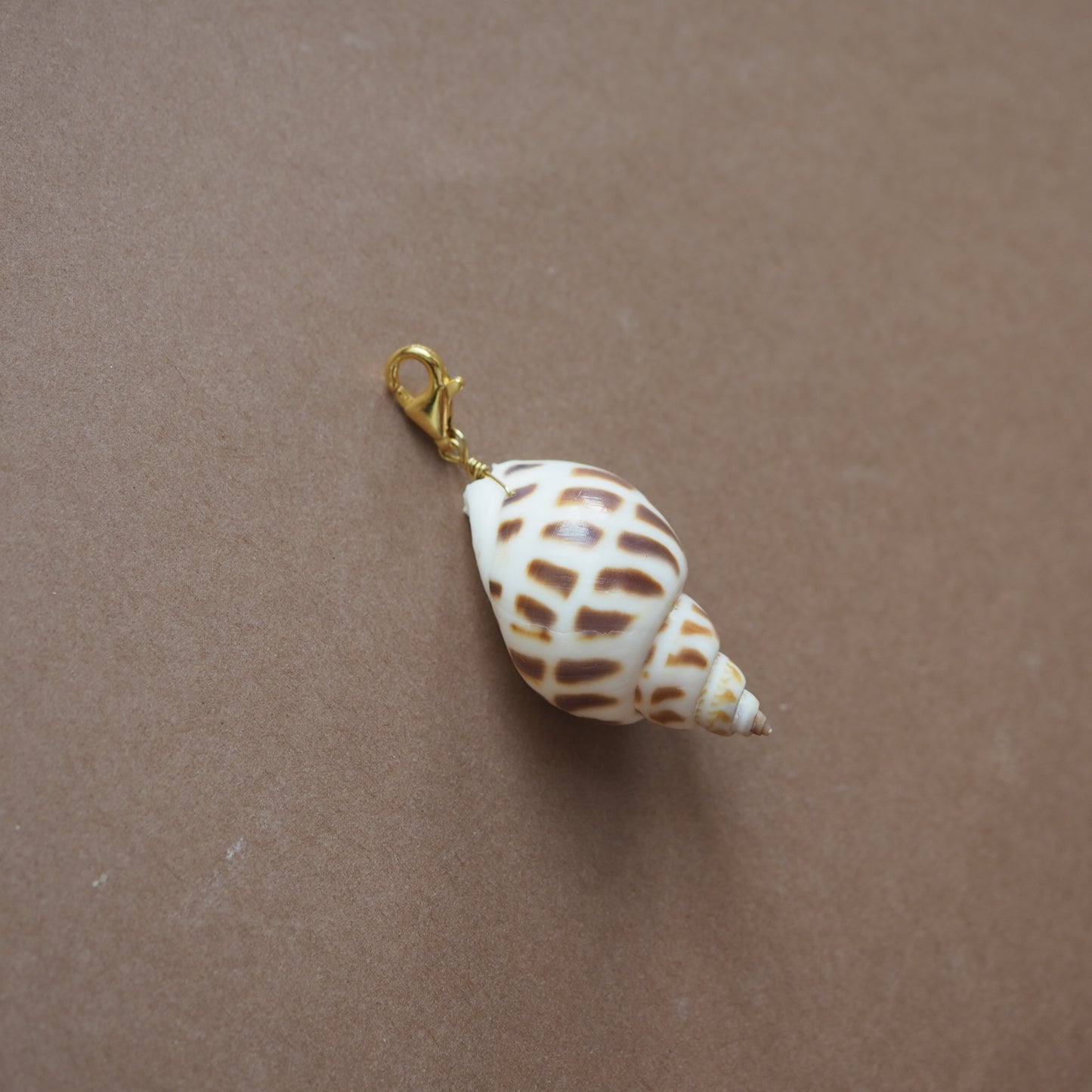 Charm conchiglia Babylonia