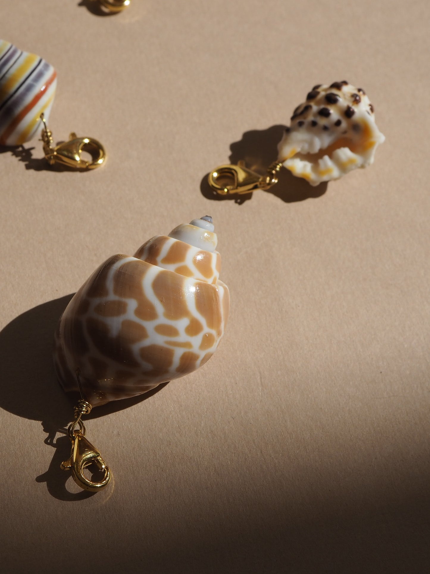 Charm conchiglia Babylonia miele