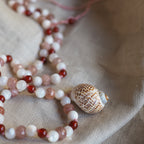 Collana Shellina 005