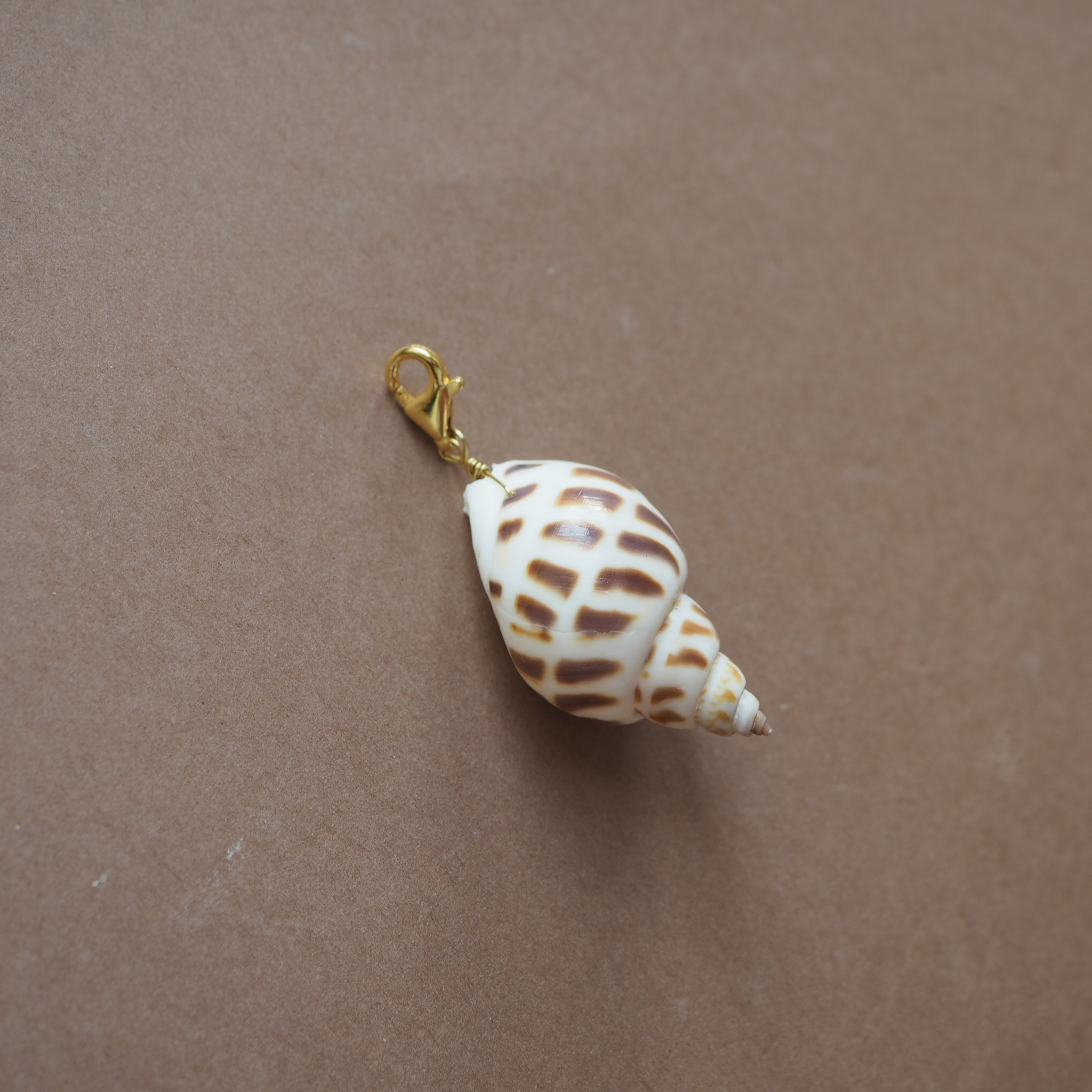 Charm conchiglia Babylonia