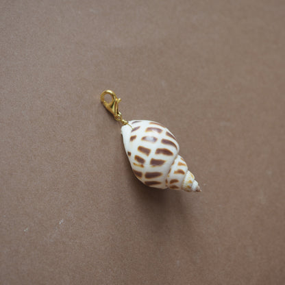 Charm conchiglia Babylonia