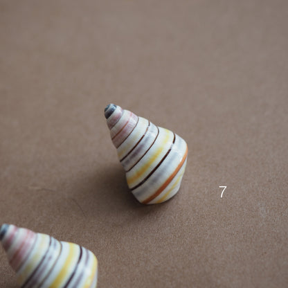 Charm conchiglia Liguus multicolor