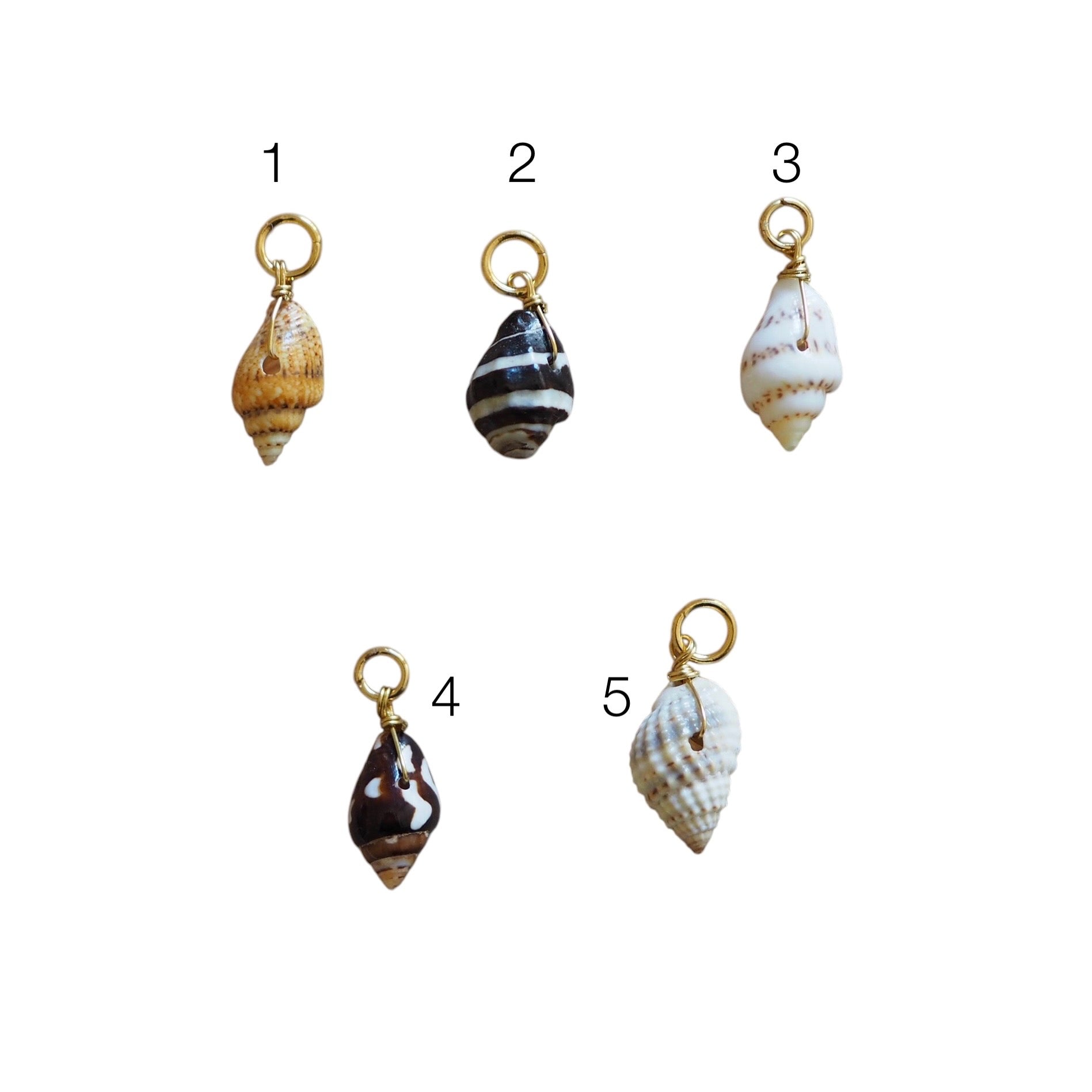 Charm Conchiglia