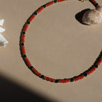 Collana Procida