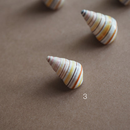 Charm conchiglia Liguus multicolor