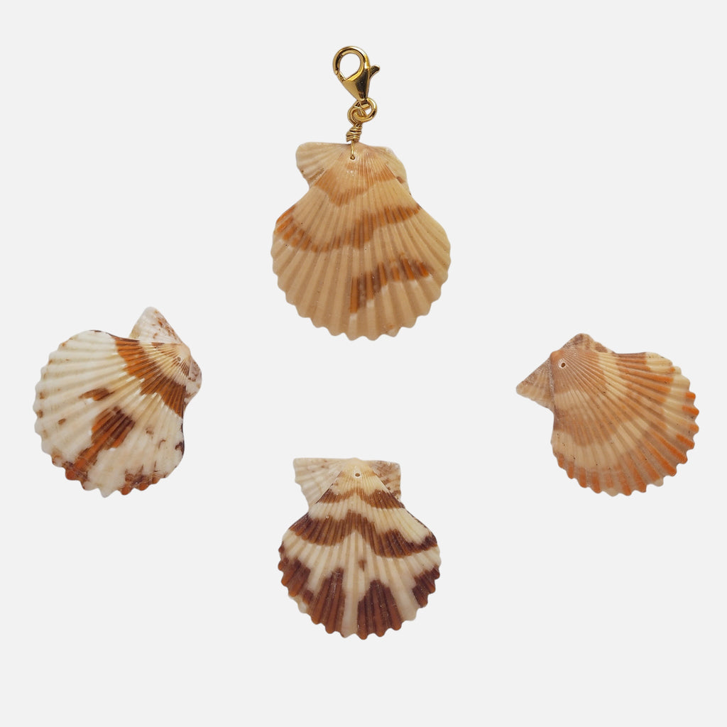 Charm Conchiglia Pettine