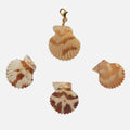 Charm Conchiglia Pettine