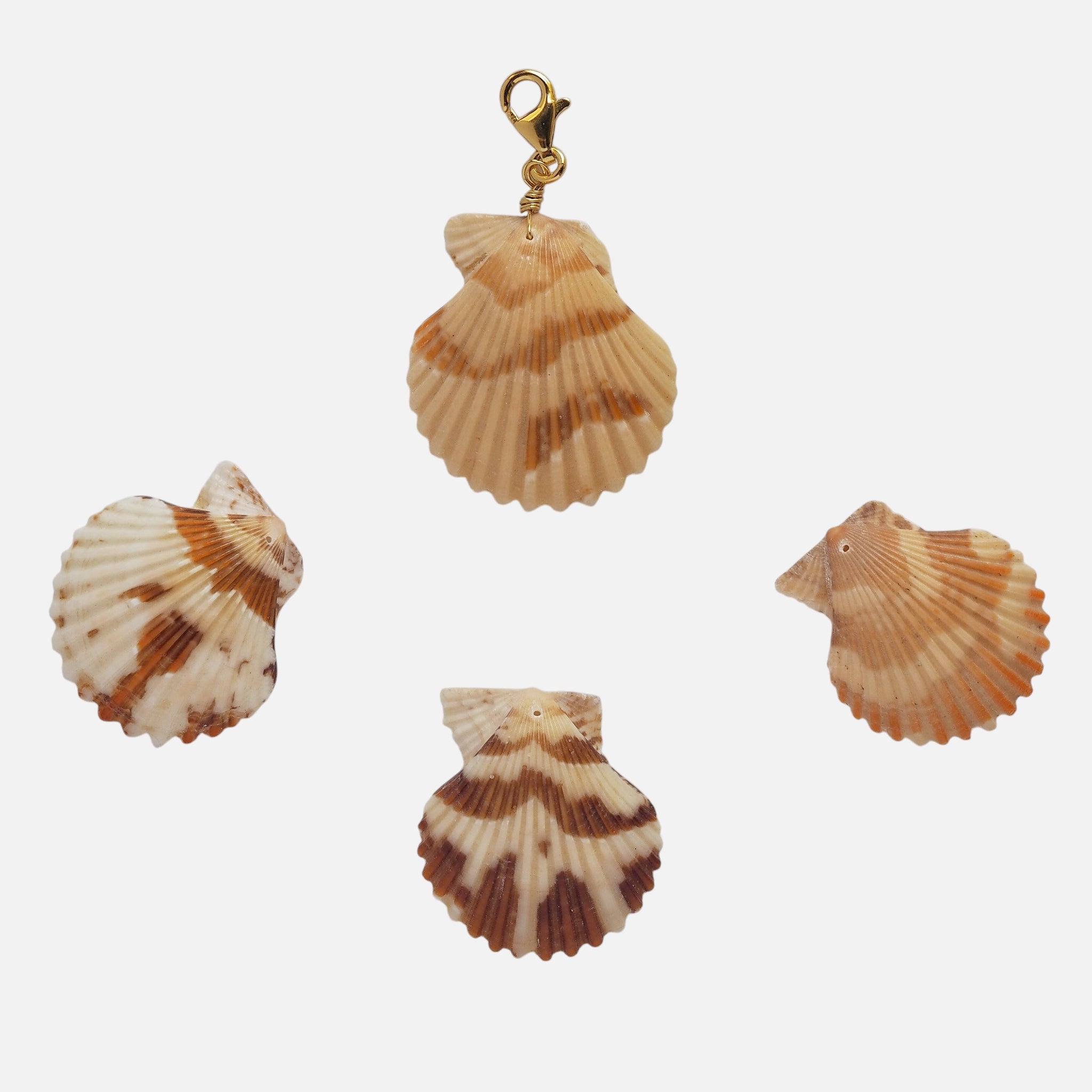 Charm Conchiglia Pettine
