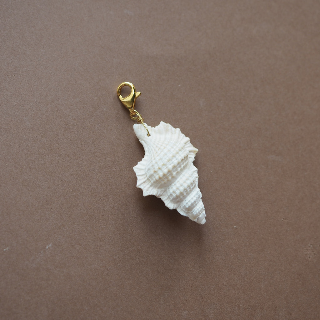 Charm conchiglia Perca