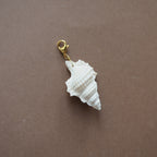 Charm conchiglia Perca