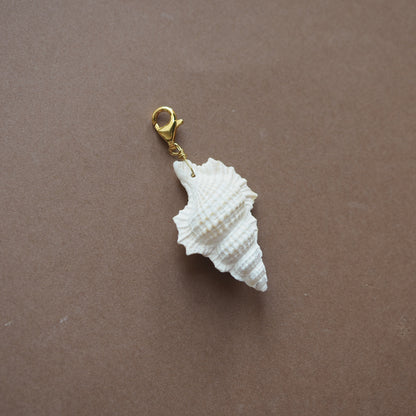 Charm conchiglia Perca