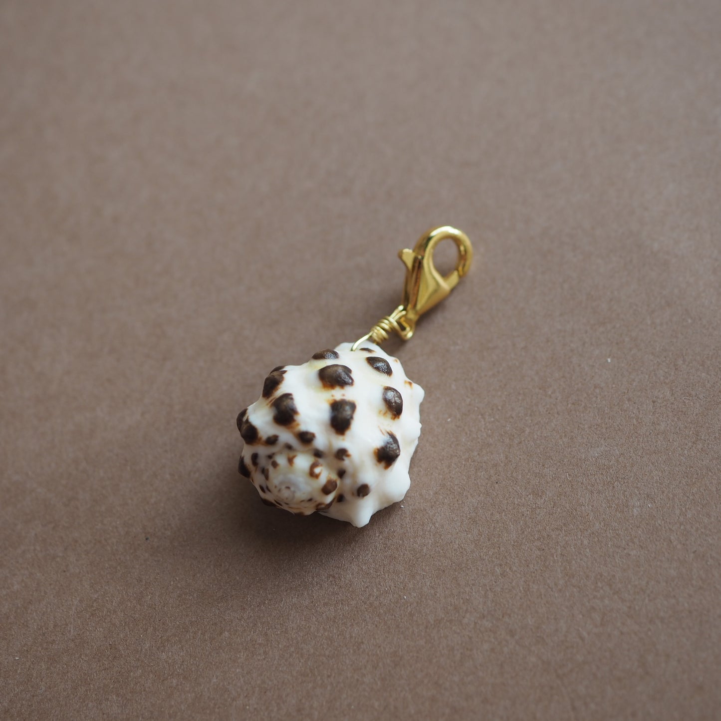 Charm conchiglia Drupa