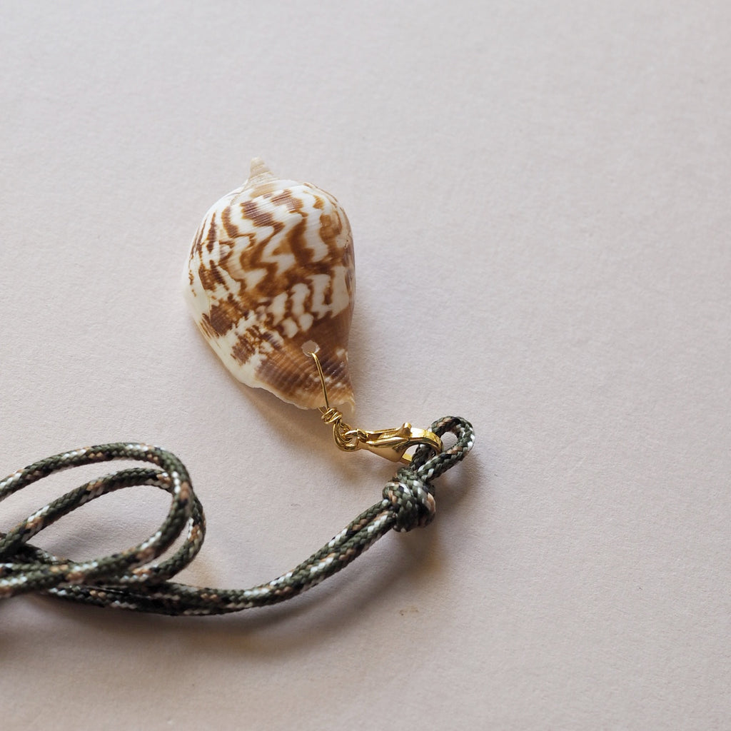Charm Conchiglia Cymbiola