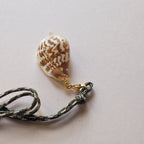 Charm Conchiglia Cymbiola