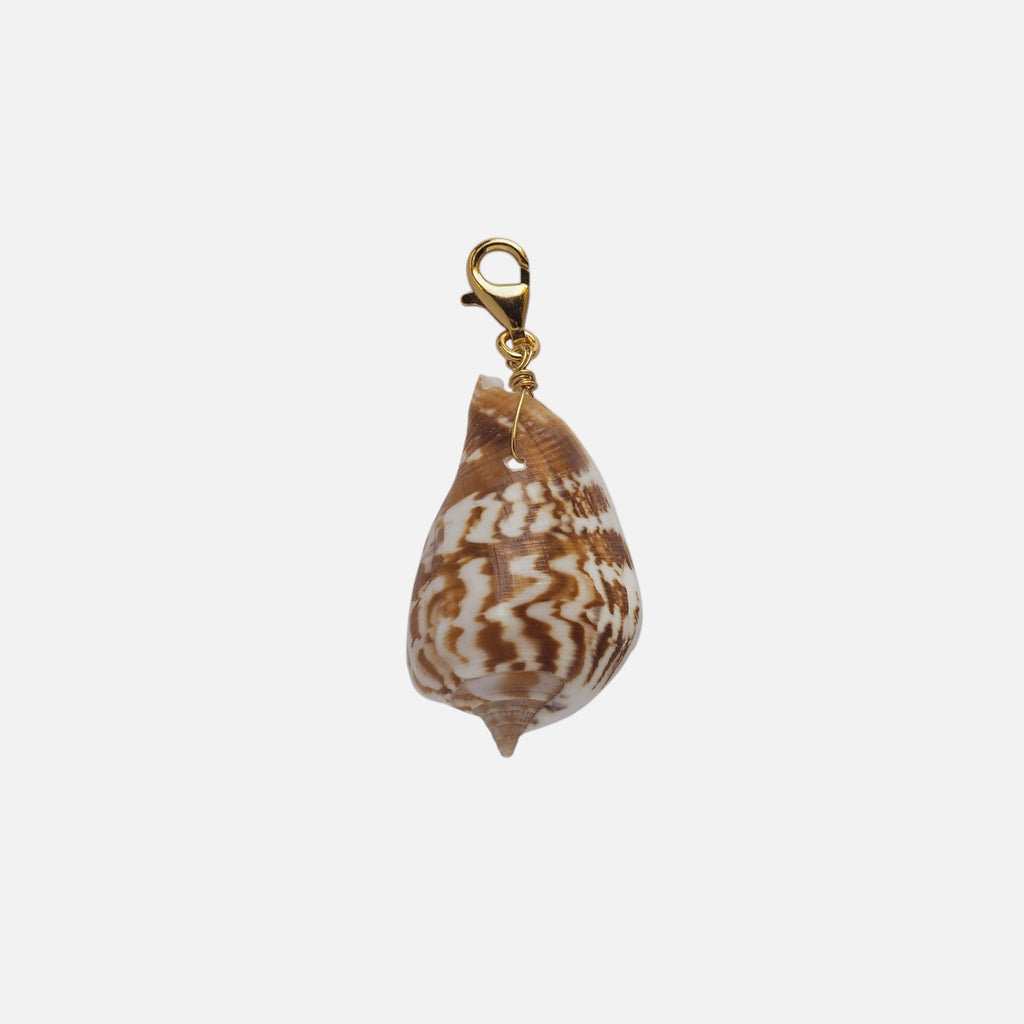 Charm Conchiglia Cymbiola