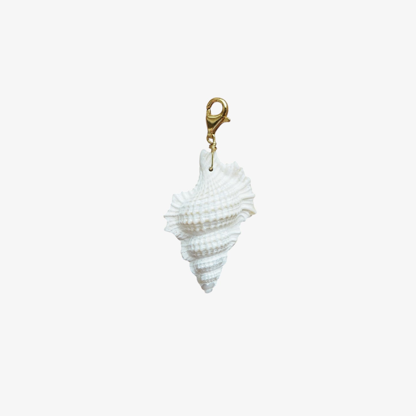 Charm conchiglia Perca