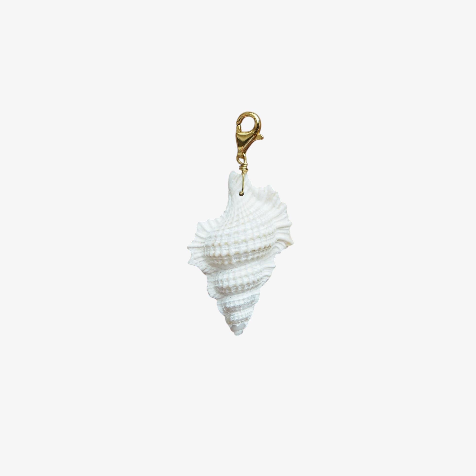 Charm conchiglia Perca