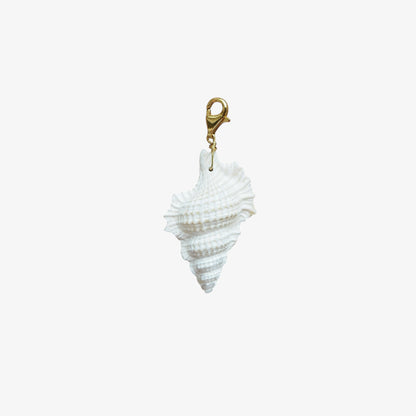 Charm conchiglia Perca