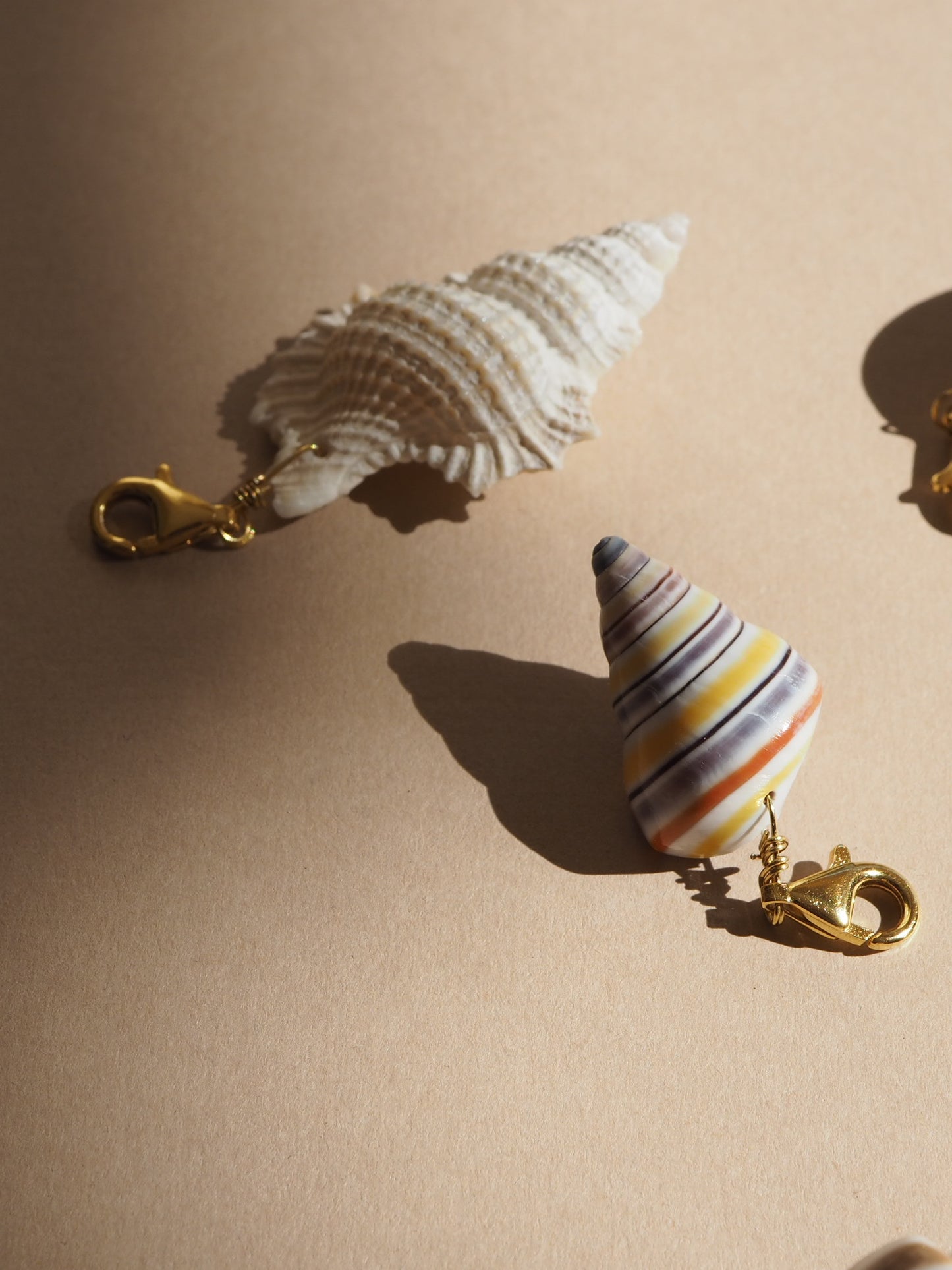 Charm conchiglia Perca