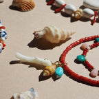 Collana Procida