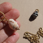Charm Conchiglia Cipria
