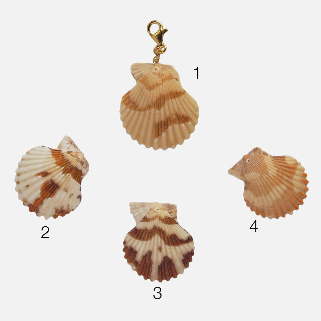 Charm Conchiglia Pettine