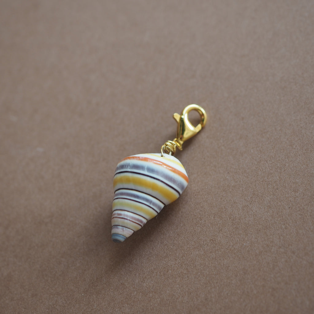 Charm conchiglia Liguus multicolor