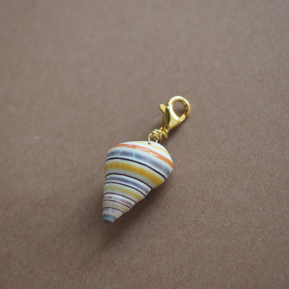 Charm conchiglia Liguus multicolor