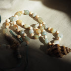 Collana Shellina 017