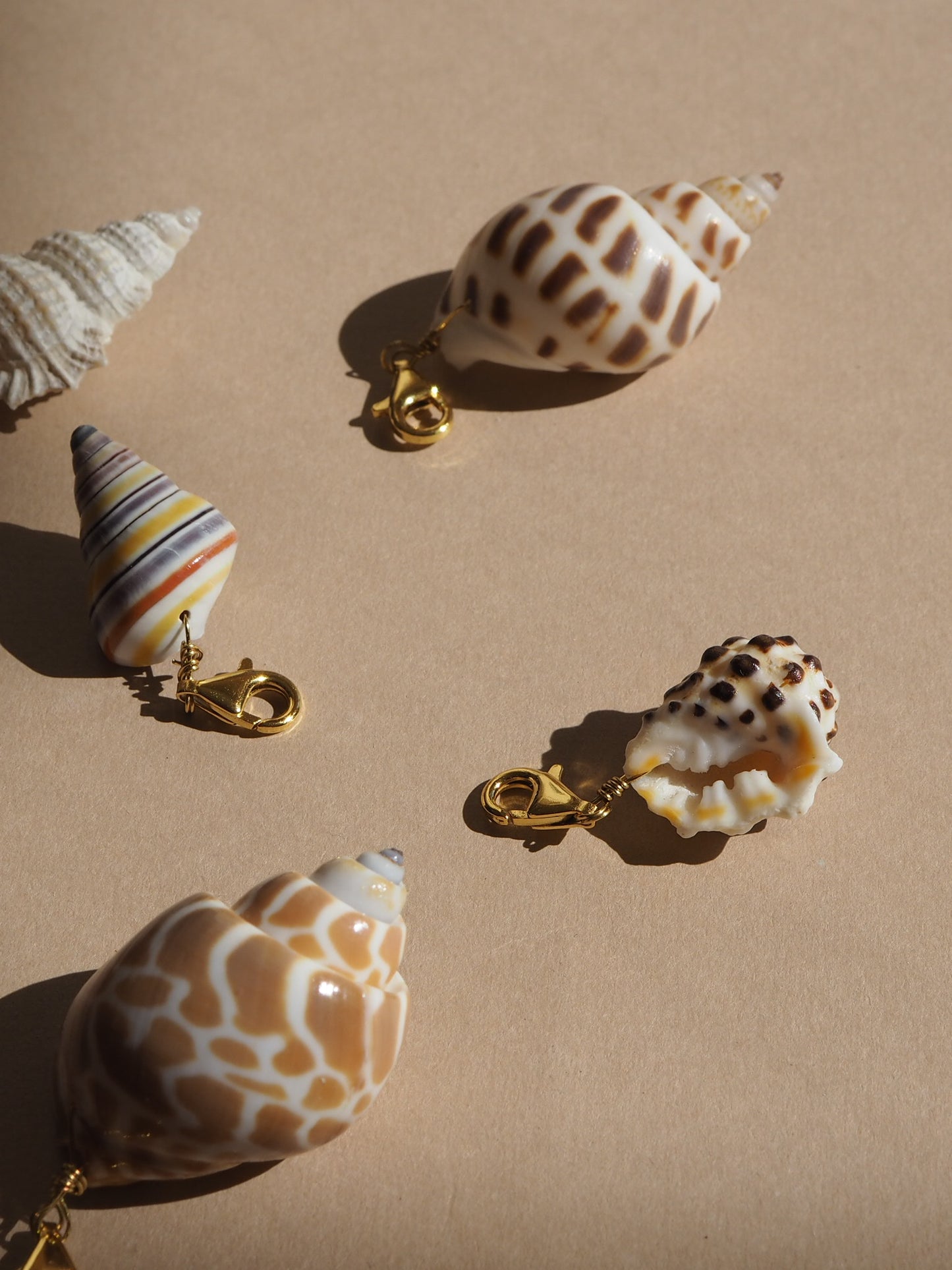 Charm conchiglia Drupa