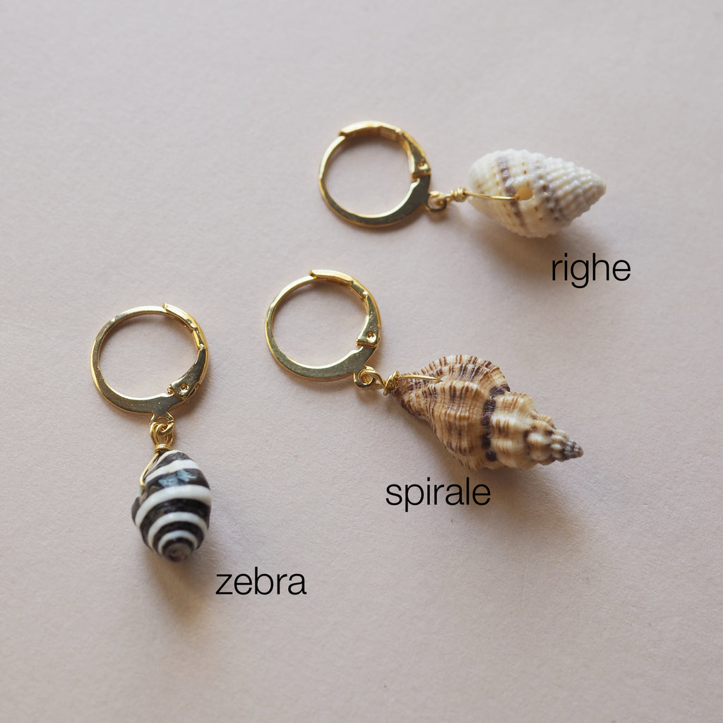 MicroCerchi Conchiglia