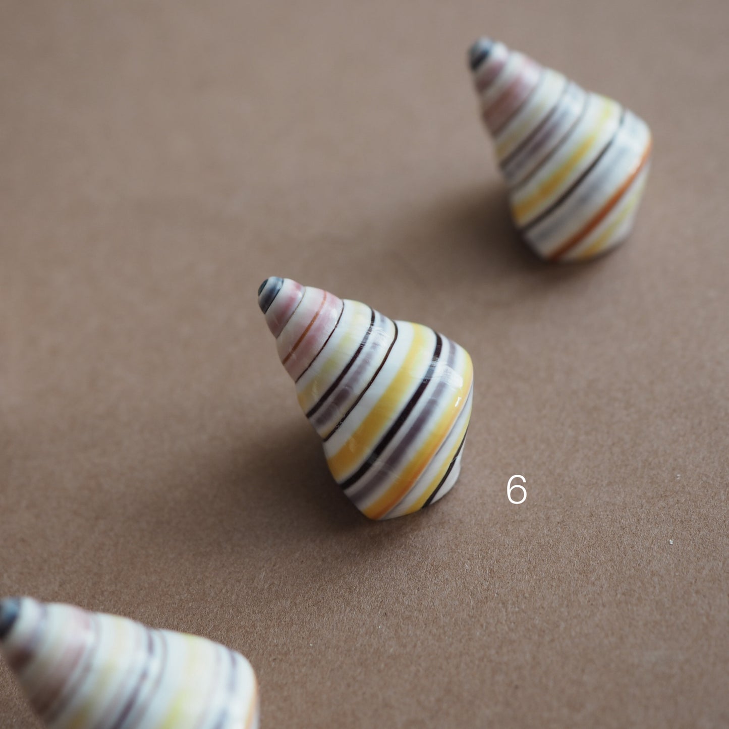 Charm conchiglia Liguus multicolor