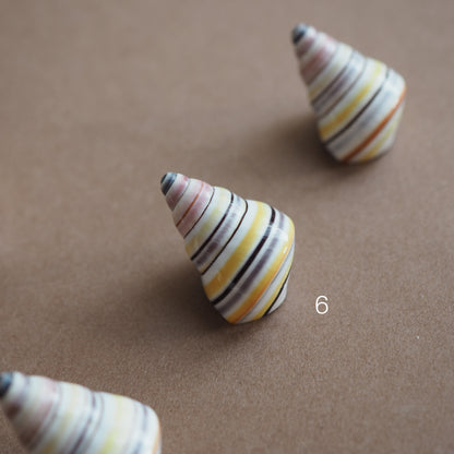 Charm conchiglia Liguus multicolor