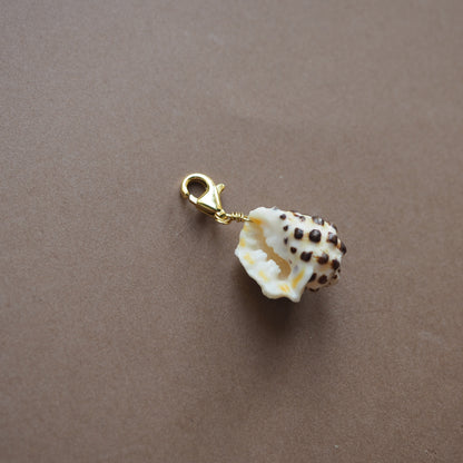 Charm conchiglia Drupa