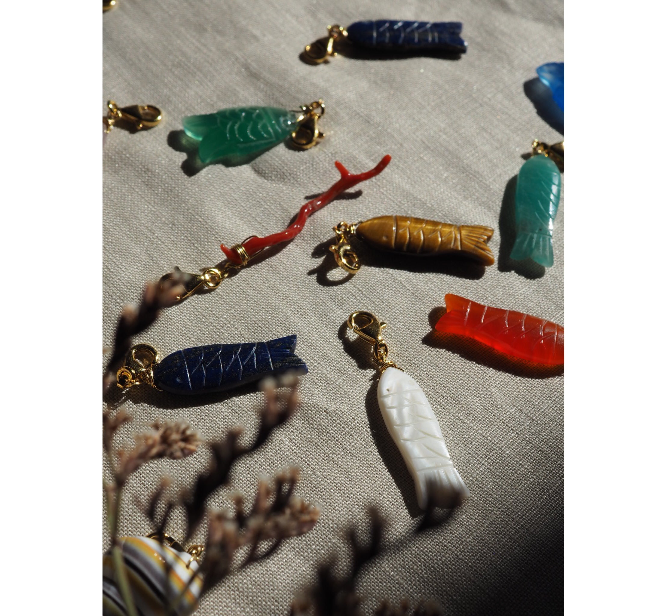 Charm Sardina