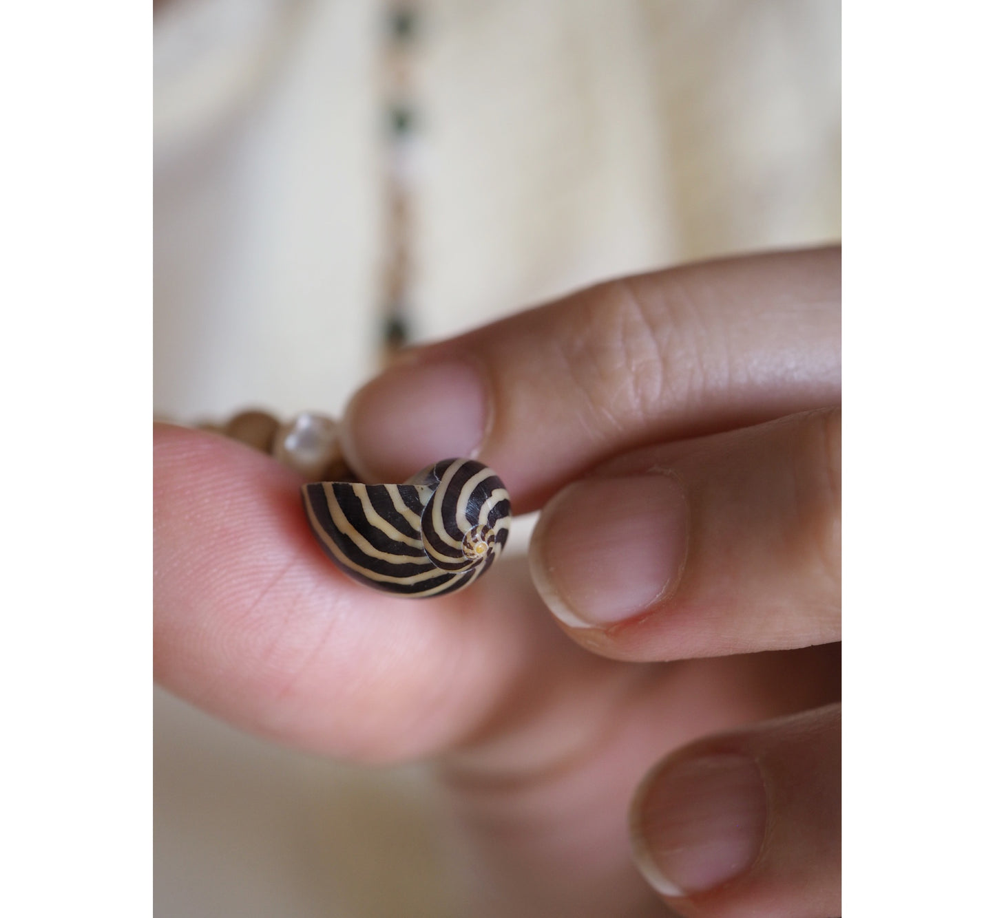 Collana Shellina Madreperla