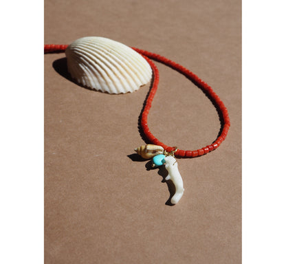 Collana Procida