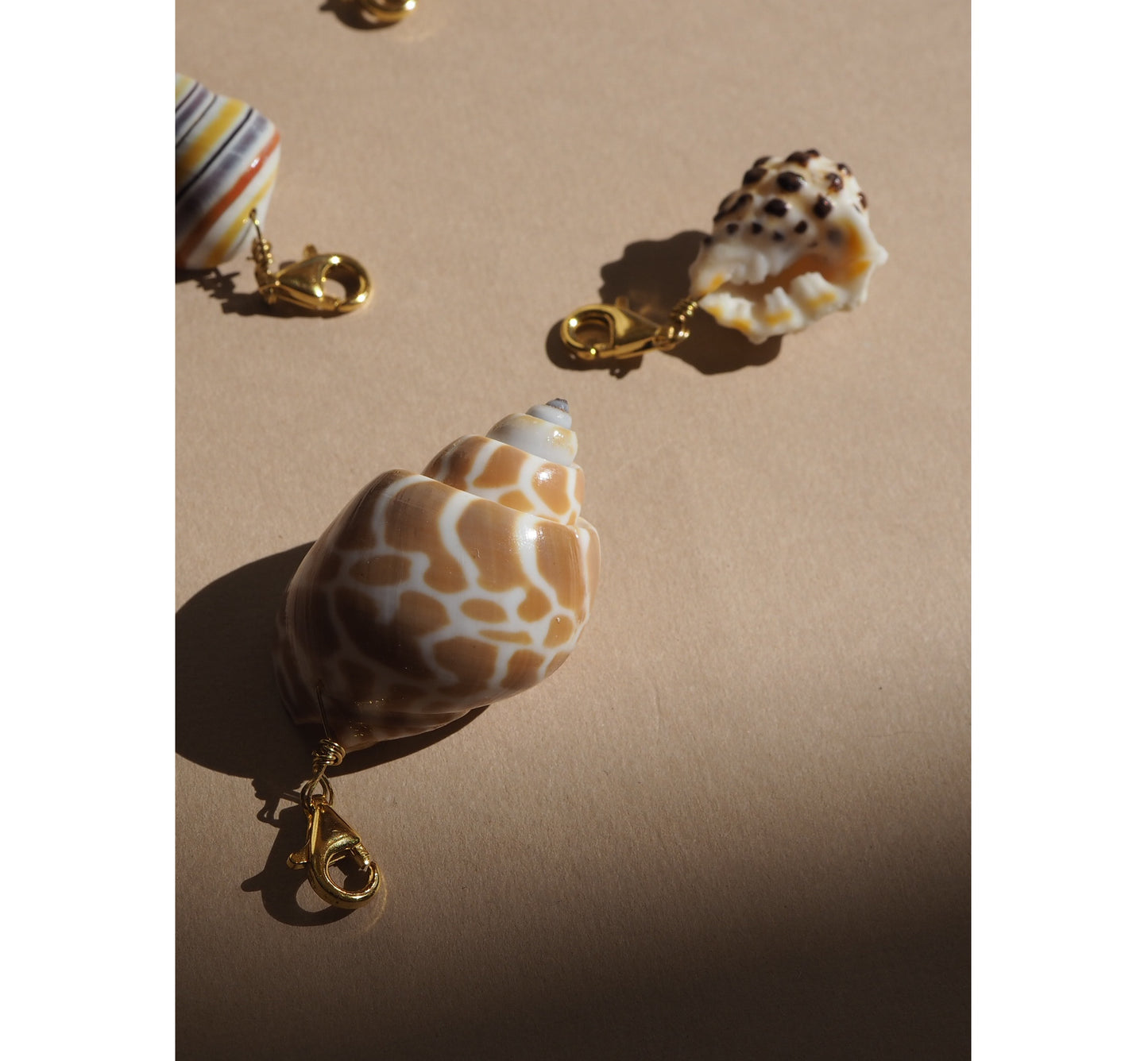 Charm conchiglia Babylonia miele