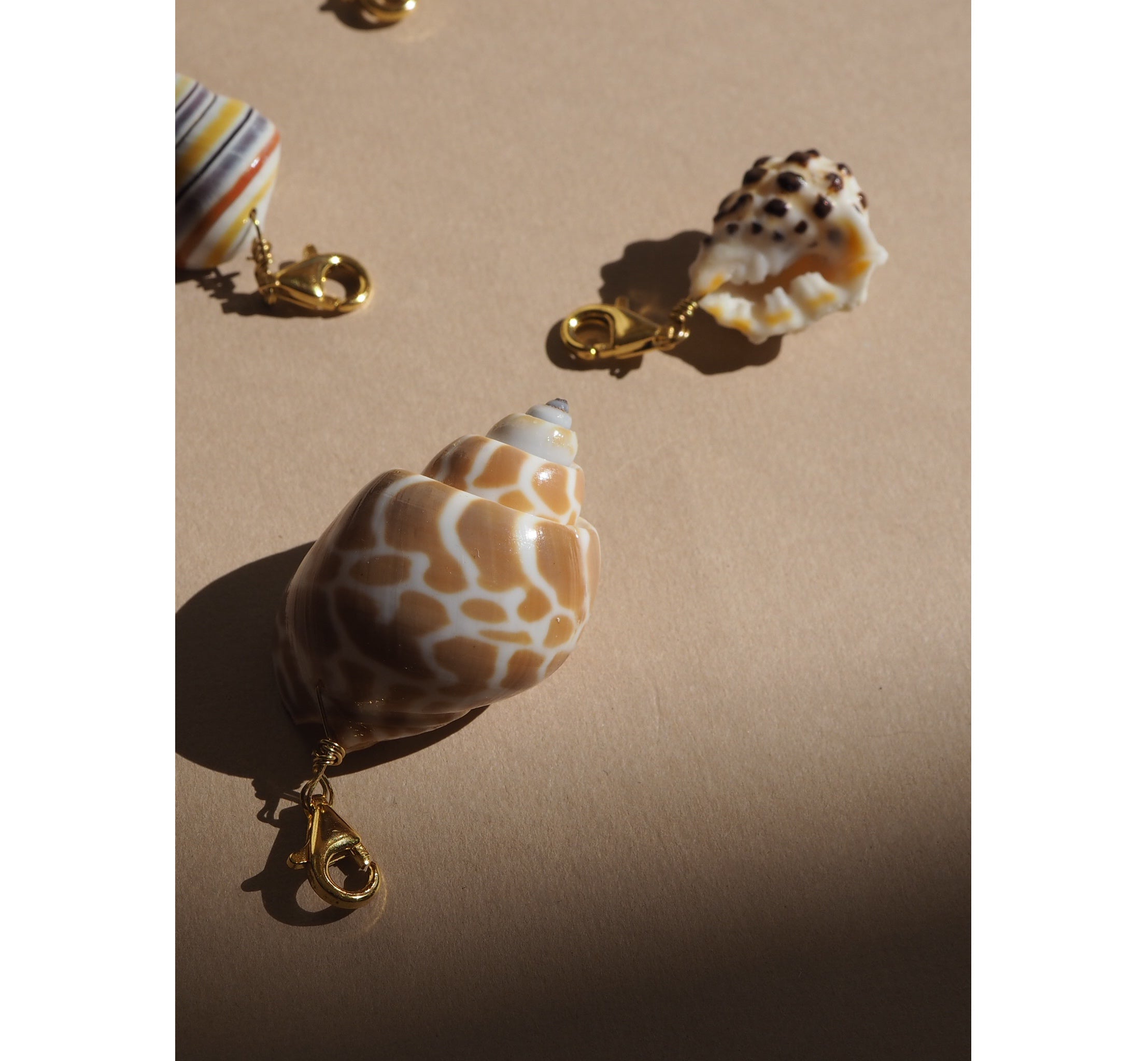 Charm conchiglia Babylonia miele