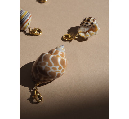 Charm conchiglia Babylonia miele