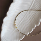 Chocker Dorea