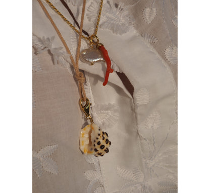 Charm conchiglia Drupa