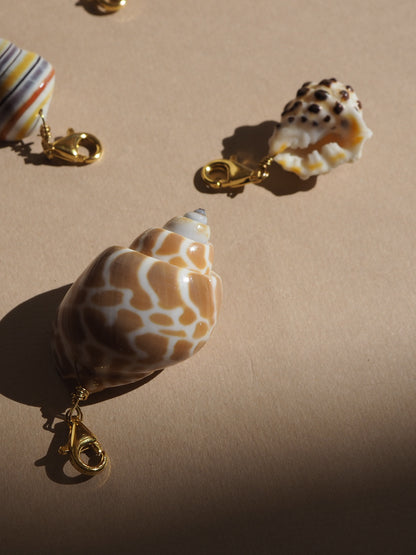 Charm conchiglia Babylonia miele