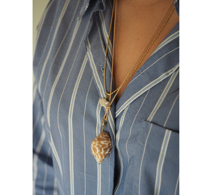 Charm conchiglia Babylonia miele