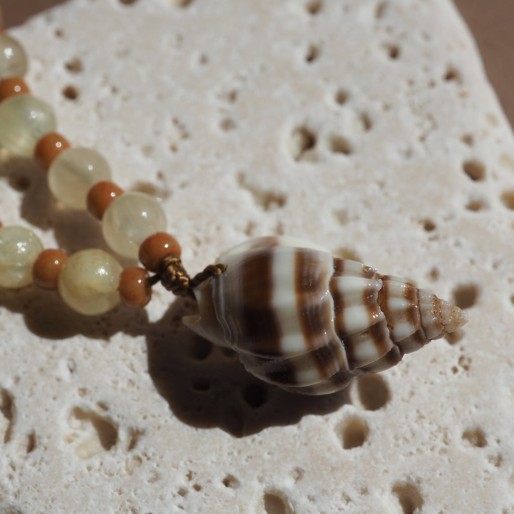 Collana Shellina 037