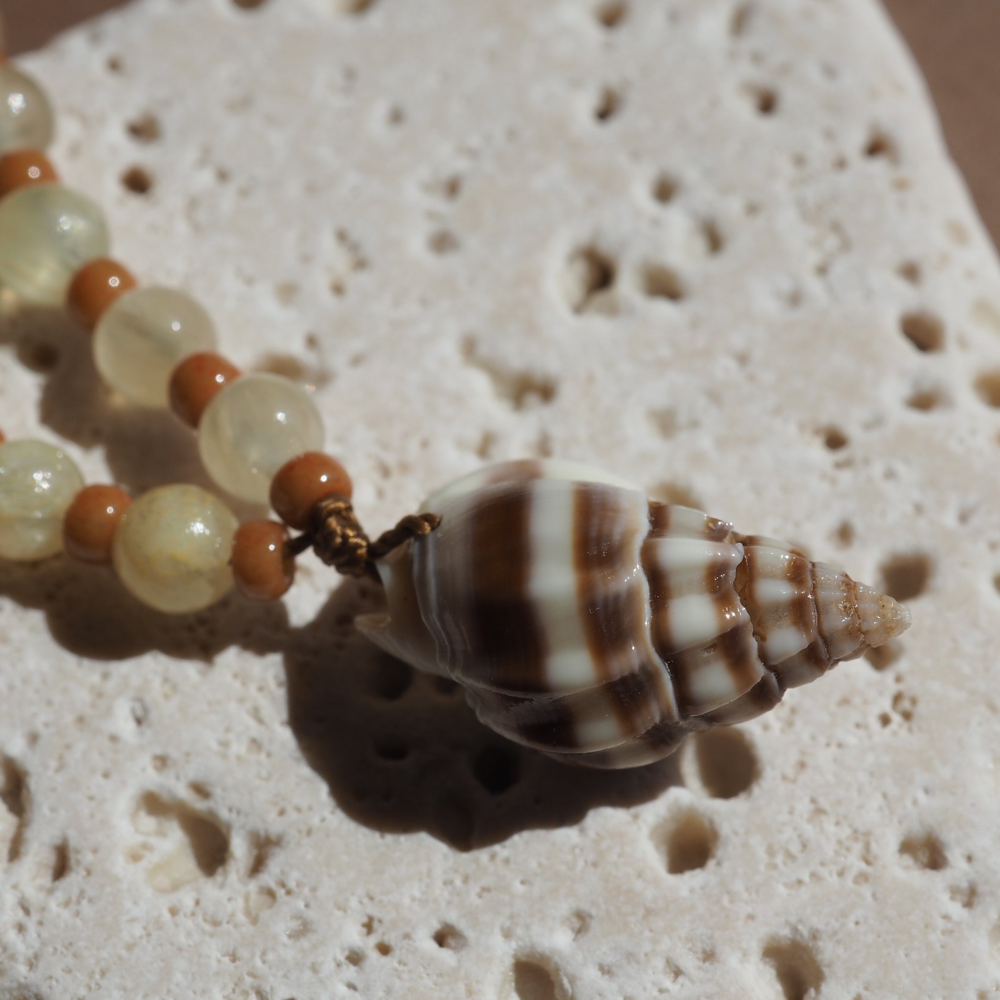 Collana Shellina 037