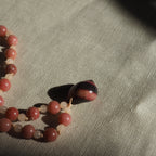 Collana Shellina 038