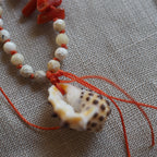 Collana Shellina 040