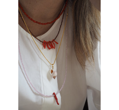 Collana Corallina Media