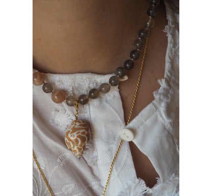 Charm conchiglia Babylonia miele